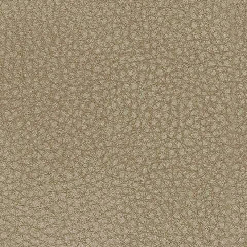 كرسي استرخاء كهربائي DuraPella من الجيل التالي