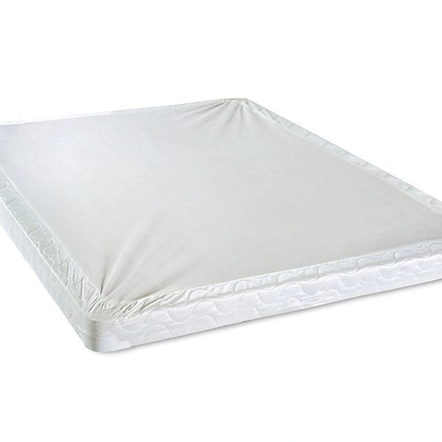 Base de cama Queen de 4" Bird Of Paradise