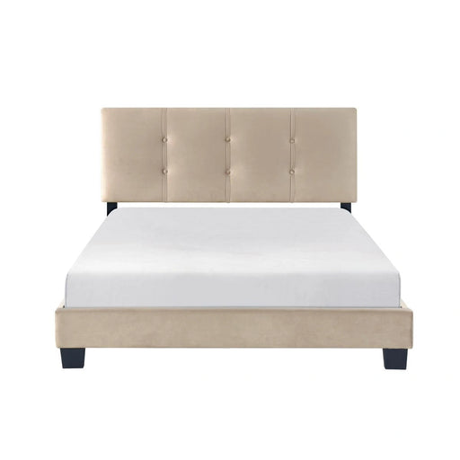 Newberry Queen, Full & Twin Bed