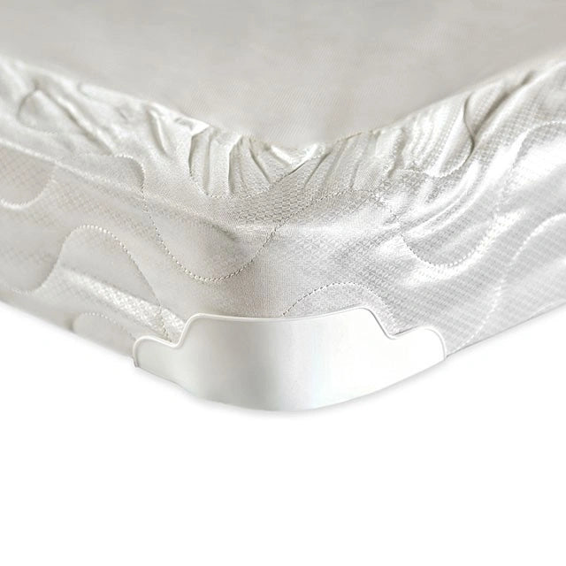 Base de cama Queen de 4" Bird Of Paradise
