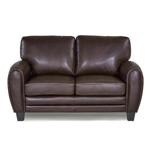 Rubin Loveseat in Dark Brown