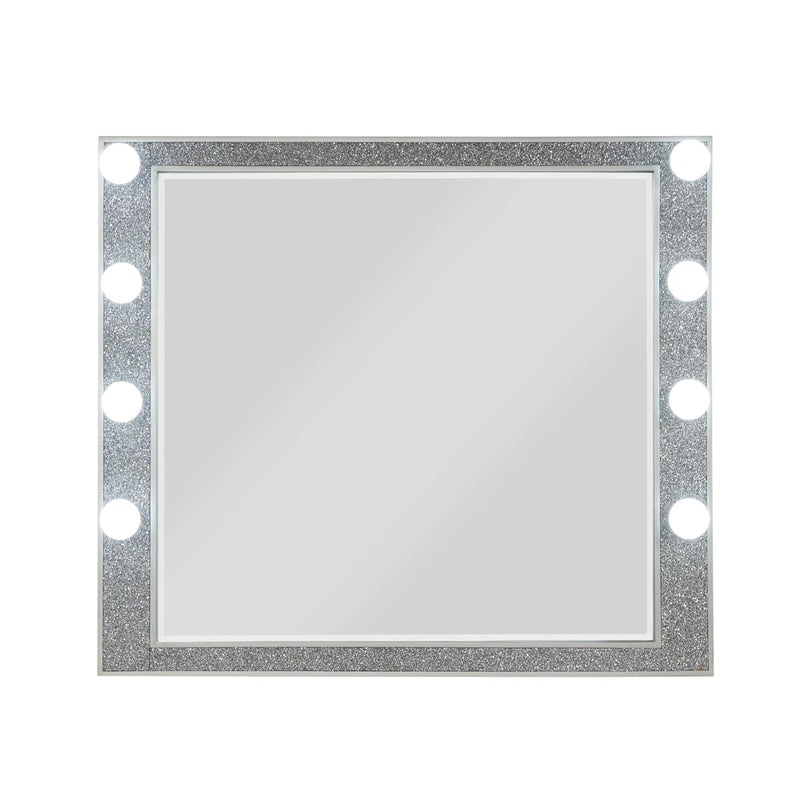 Mirror w/Light