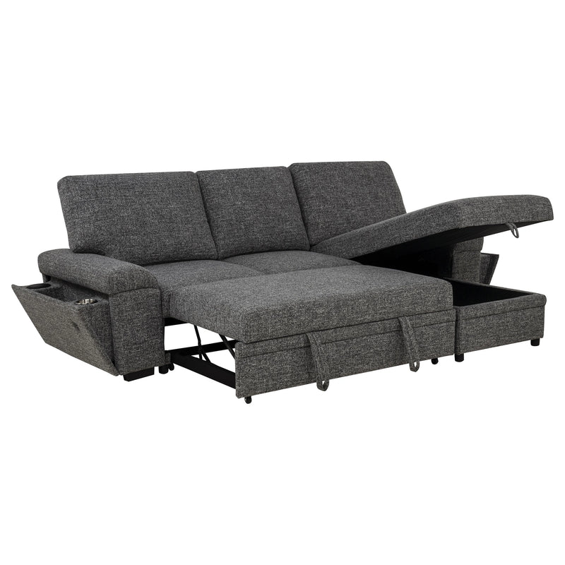 Demko Sleeper Sectional Sofa