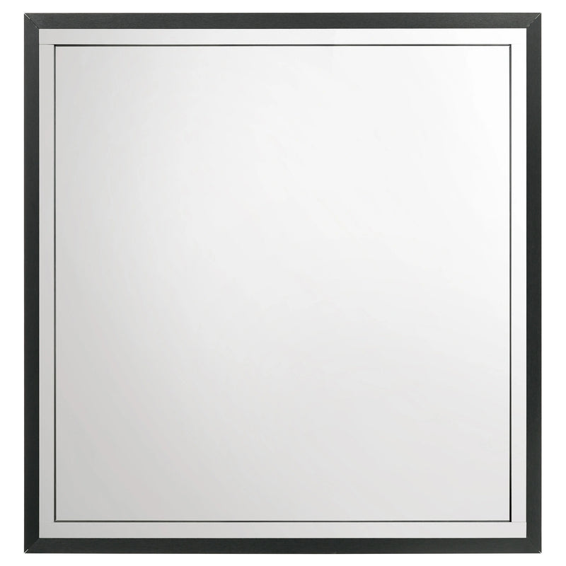 Lucia Dresser Mirror