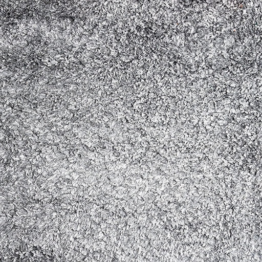 سجادة منطقة Annmarie Silver 5' × 8'