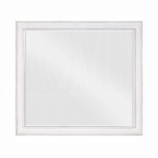 Katia Mirror