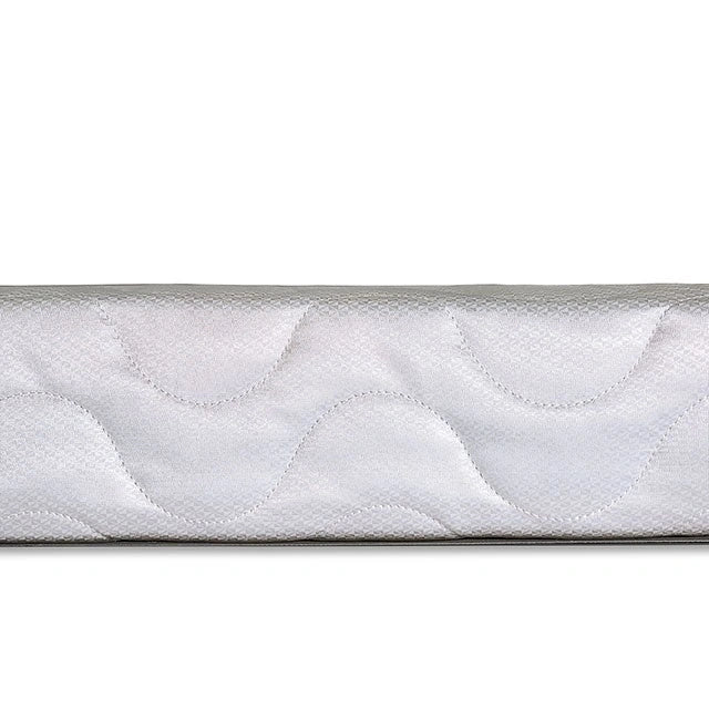 Base de cama Queen de 4" Bird Of Paradise
