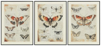Láminas decorativas Jossletts (Set de 3)