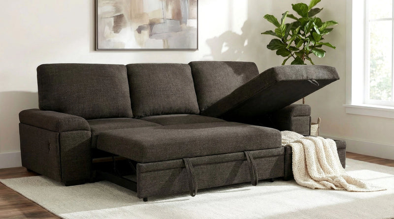 Demko Sleeper Sectional Sofa