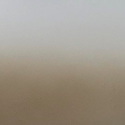 Acario Jarro