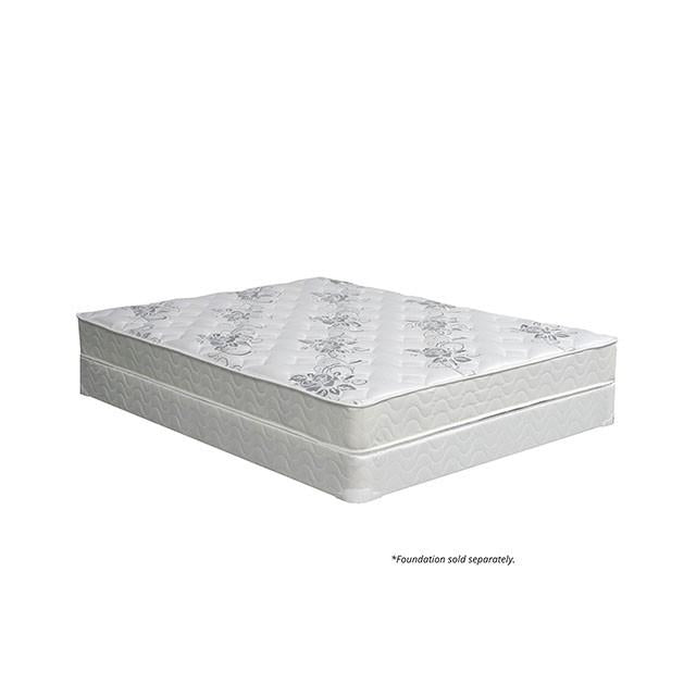 Colchón de muelles ELBERTYNA White de 8" Twin