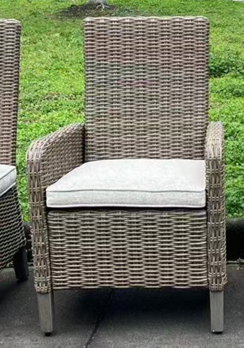 Sillón Laguna Heights con Cojín (Juego de 2)