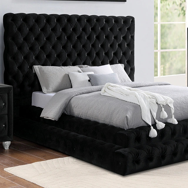 Stefania Cama Gris & Queen