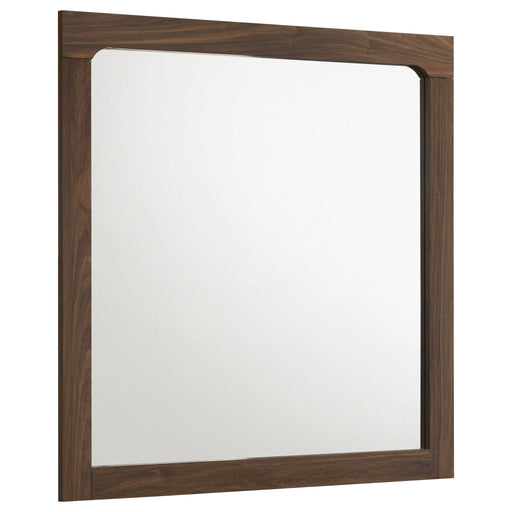 Etienne Dresser Mirror
