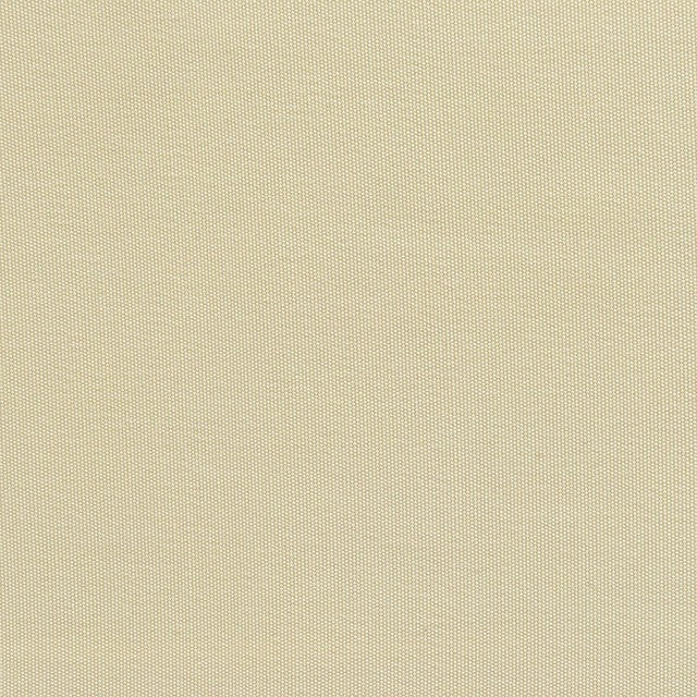 إيلونا كورنر