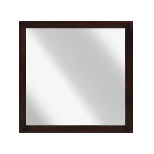 Edina Mirror