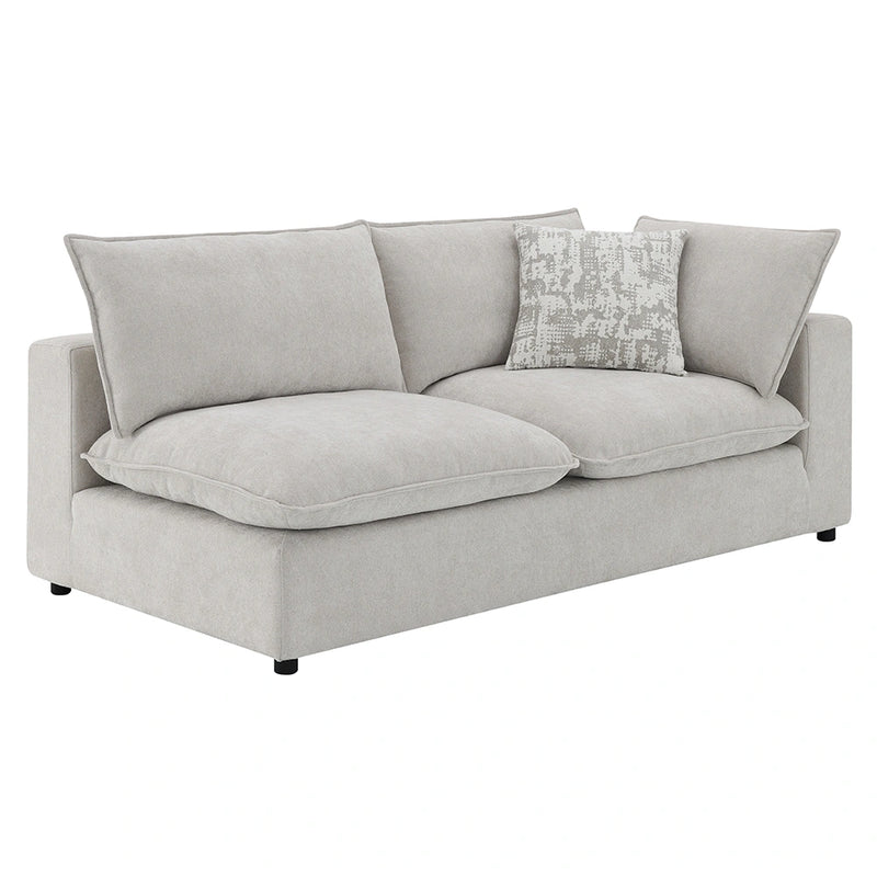 Modular RF Loveseat w/2 Pillows