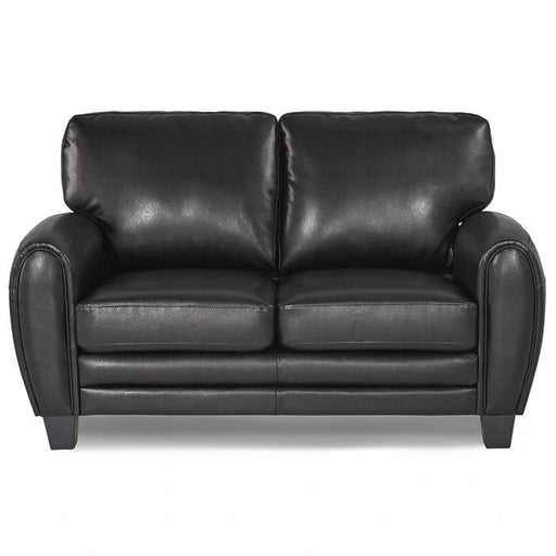Rubin Loveseat in Black