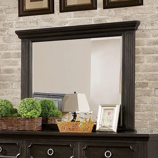 Róisín Mirror