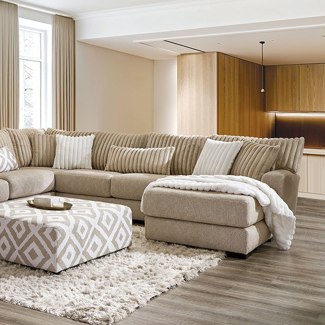 Seccional Loughton